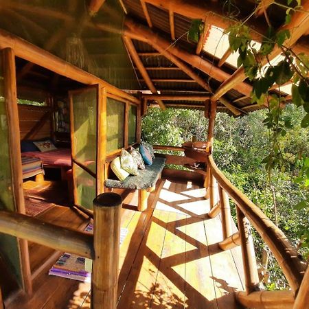 Mariri Jungle Lodge Alto Paraíso de Goiás Εξωτερικό φωτογραφία