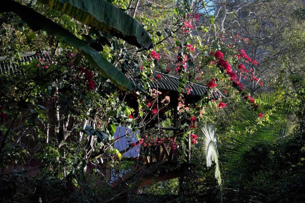 Mariri Jungle Lodge Alto Paraíso de Goiás Εξωτερικό φωτογραφία