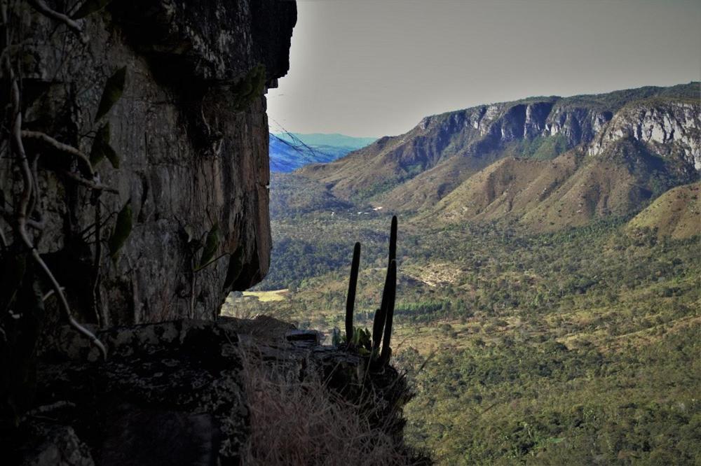 Mariri Jungle Lodge Alto Paraíso de Goiás Εξωτερικό φωτογραφία
