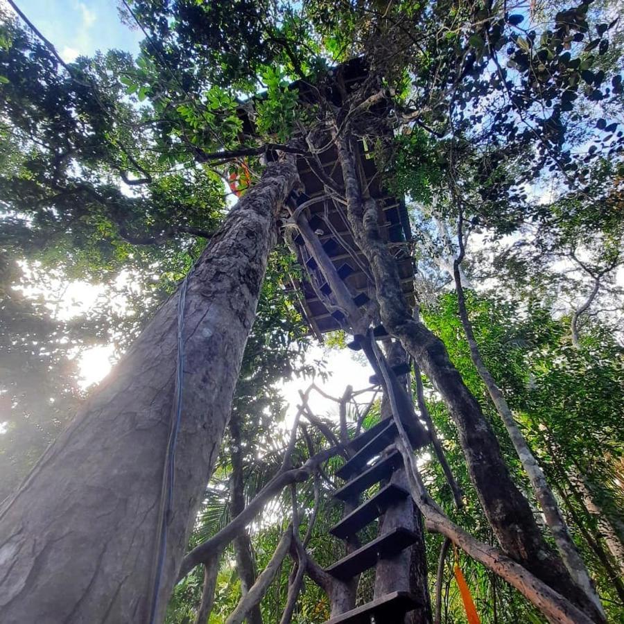 Mariri Jungle Lodge Alto Paraíso de Goiás Εξωτερικό φωτογραφία