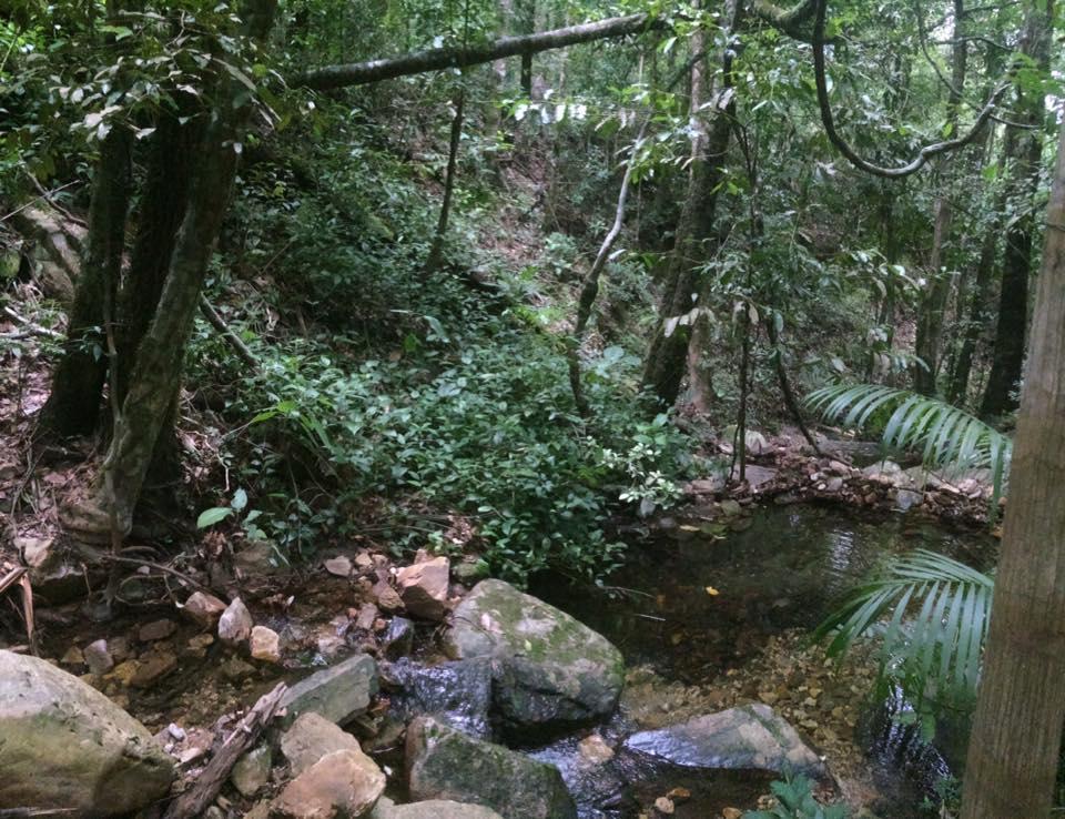 Mariri Jungle Lodge Alto Paraíso de Goiás Εξωτερικό φωτογραφία