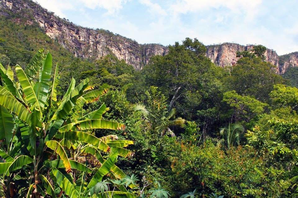 Mariri Jungle Lodge Alto Paraíso de Goiás Εξωτερικό φωτογραφία