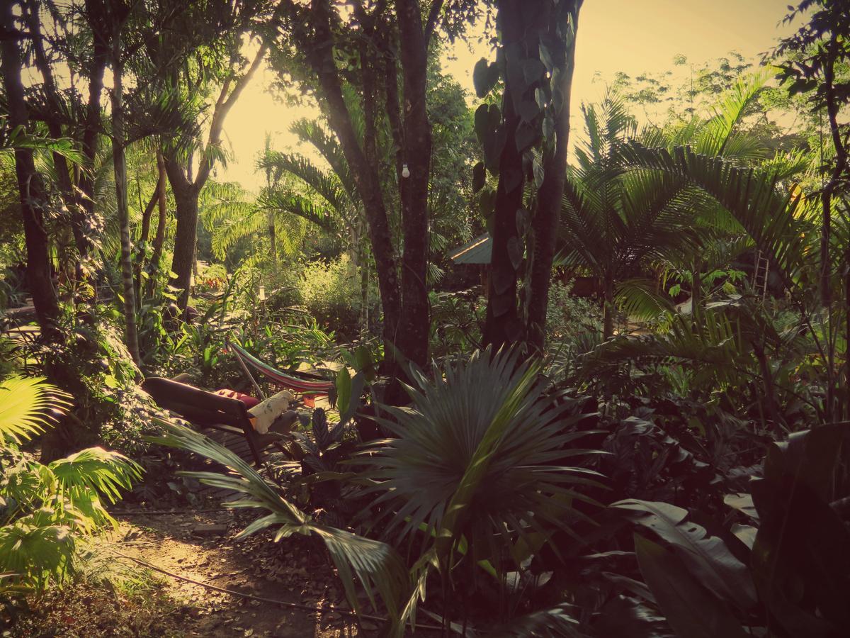 Mariri Jungle Lodge Alto Paraíso de Goiás Εξωτερικό φωτογραφία