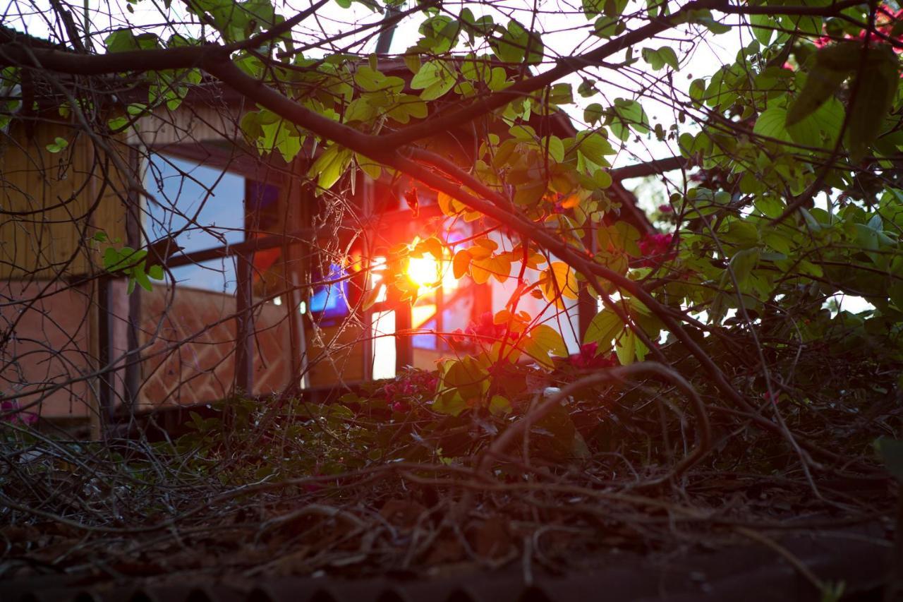 Mariri Jungle Lodge Alto Paraíso de Goiás Εξωτερικό φωτογραφία