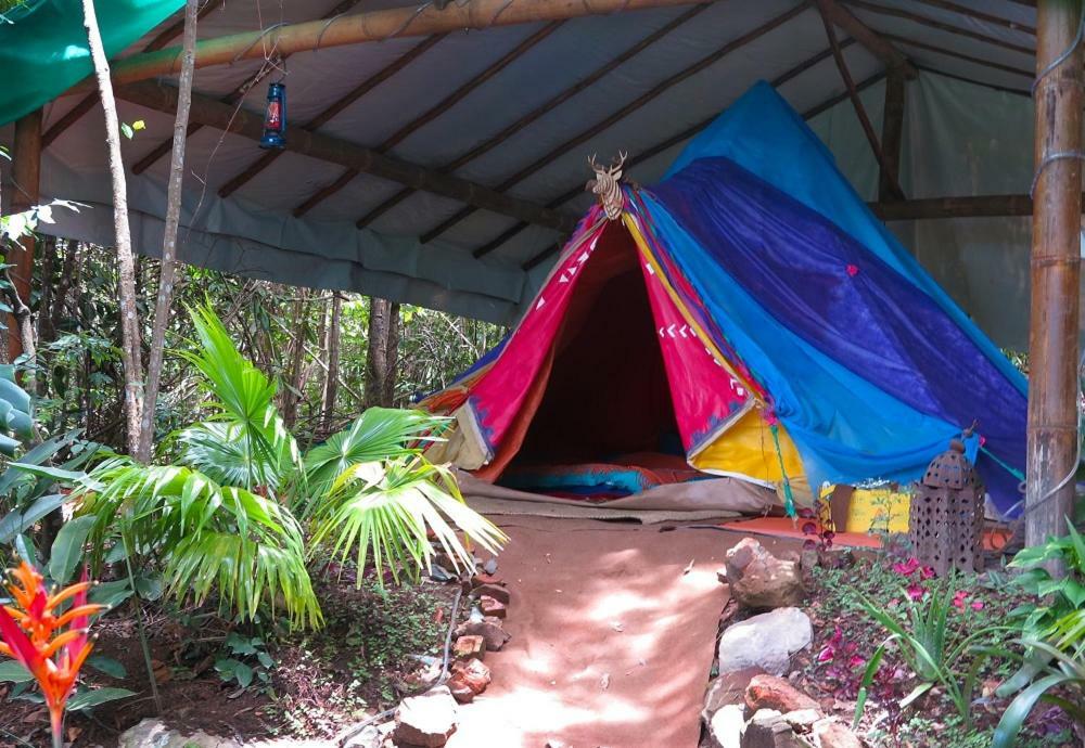 Mariri Jungle Lodge Alto Paraíso de Goiás Εξωτερικό φωτογραφία
