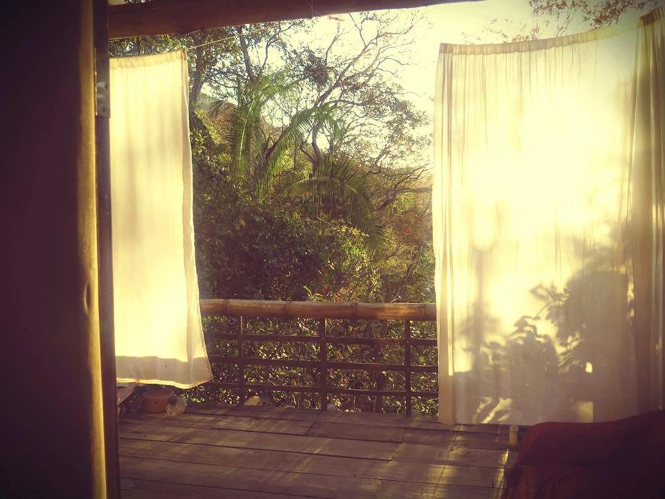 Mariri Jungle Lodge Alto Paraíso de Goiás Εξωτερικό φωτογραφία
